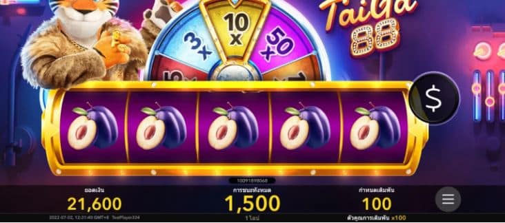 เพย์ไลน์และกฏการเล่น เกมสล็อต Taiga 88 - Nextspin